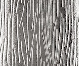 Obscure Glass Charcoal Sticks Charcoal Sticks