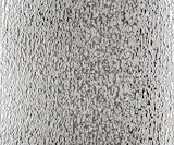 Obscure Glass Contora Contora