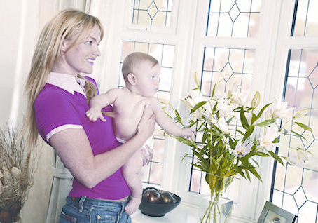 Conservatory Windowsbaywindows01